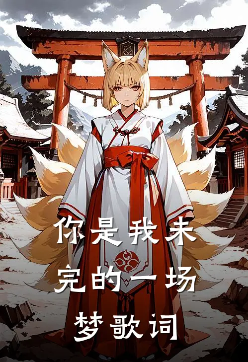 你是我未完的一场梦歌词