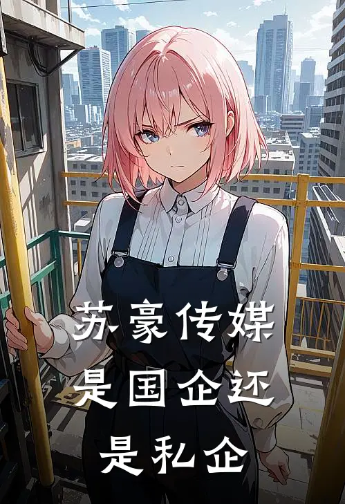 苏豪传媒是国企还是私企