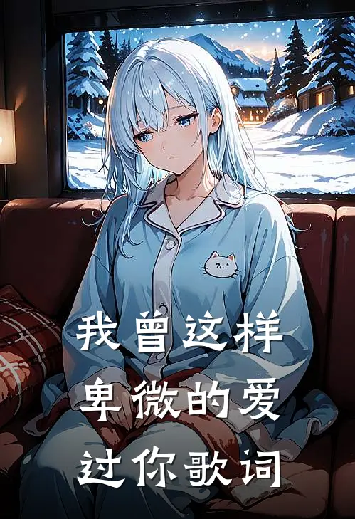 我曾这样卑微的爱过你歌词